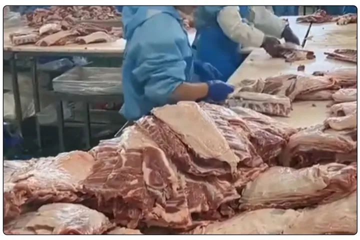 屠宰工廠惡臭影響周邊，使用除臭劑有什么注意要點(diǎn)？.jpg