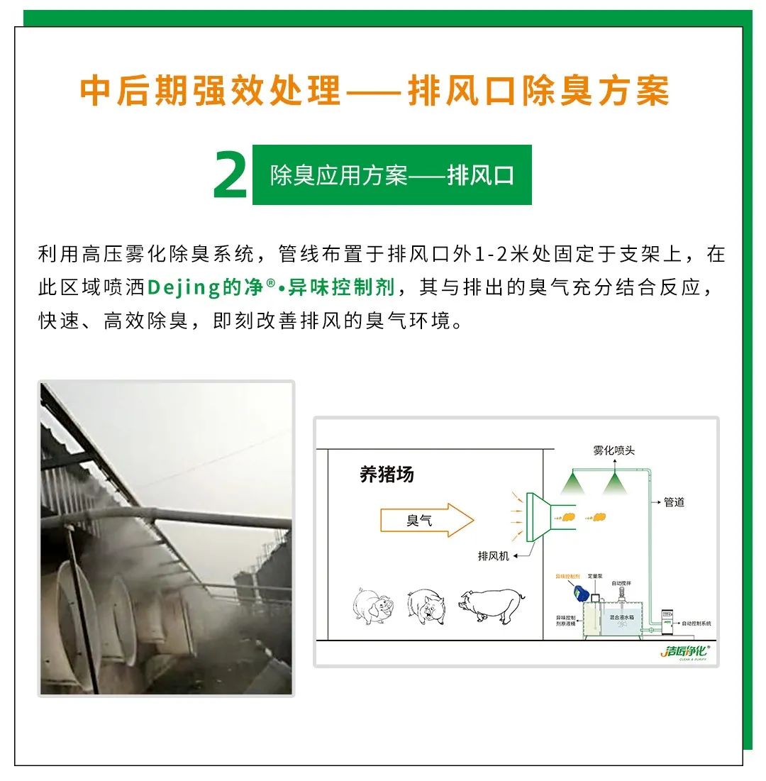 Dejing的凈養(yǎng)殖場除臭劑如何迅速清理養(yǎng)殖場臭味？.jpg