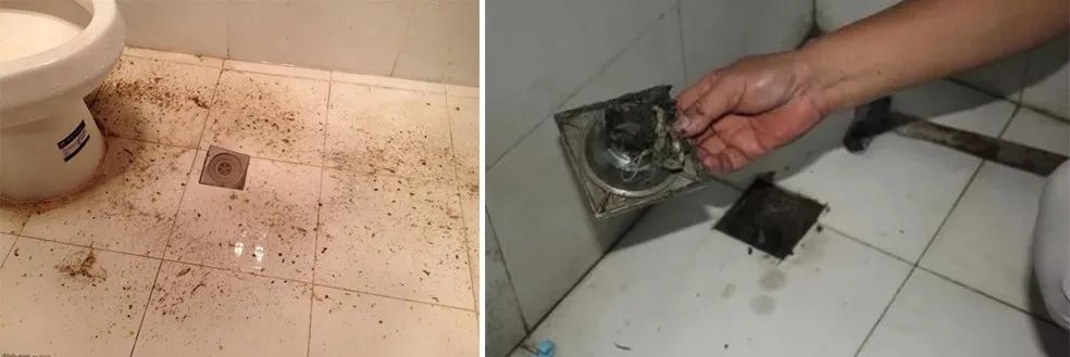家里衛(wèi)生間老有異味，潔匠凈化教您如何解決難聞的臭味.jpg