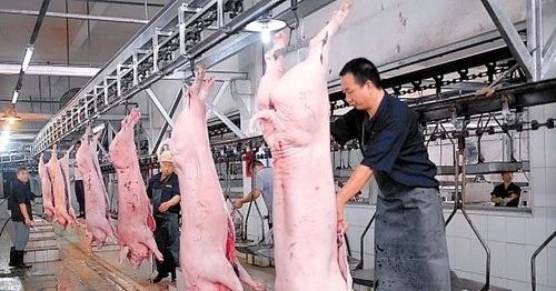 屠宰場(chǎng)臭氣影響周邊環(huán)境？解決辦法在這里.jpg